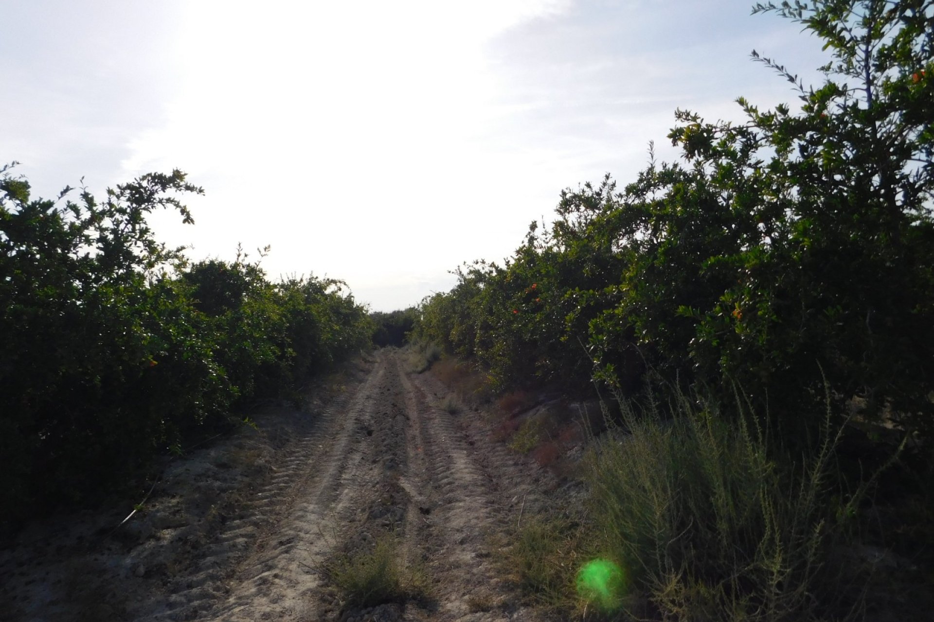 Videresalg - Tomt / Land - Torremendo