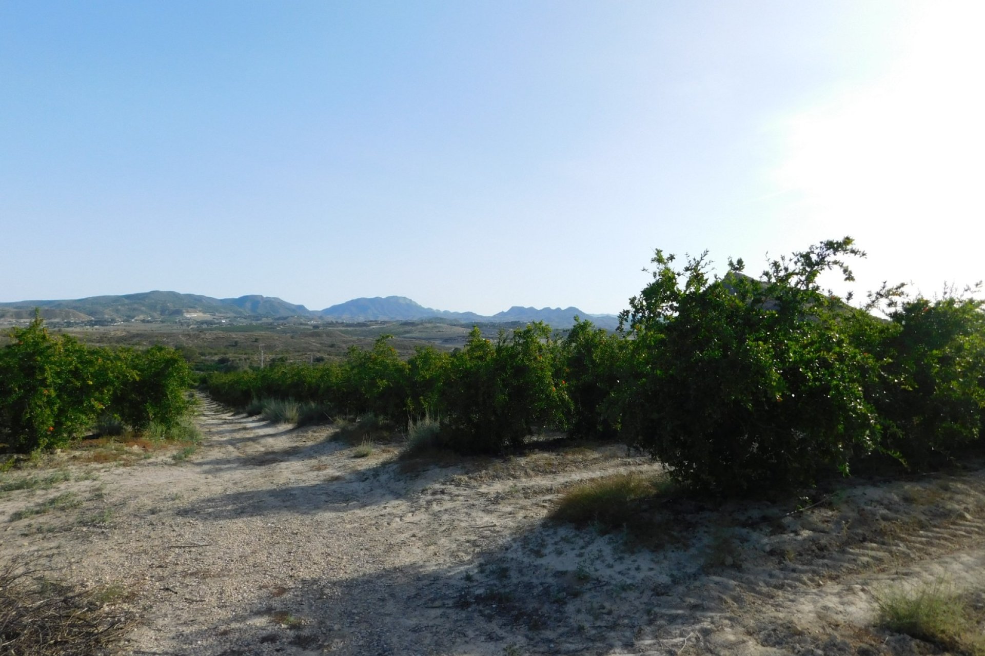 Videresalg - Tomt / Land - Torremendo