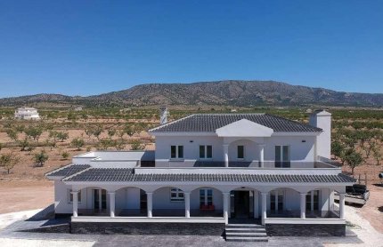 Villa - New Build - Pinoso - N-53382