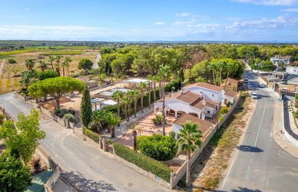 Villa - Revente - Elche/Elx - Elche/Elx